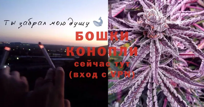 купить закладку  OMG ТОР  Шишки марихуана сатива  Карачаевск 